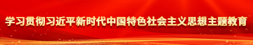 肏屄肏东北老女人的屄学习贯彻习近平新时代中国特色社会主义思想主题教育